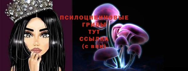 ешки Богородицк