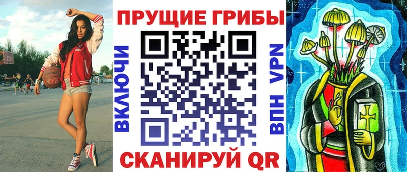 Галлюциногенные грибы Psilocybe  Наволоки 